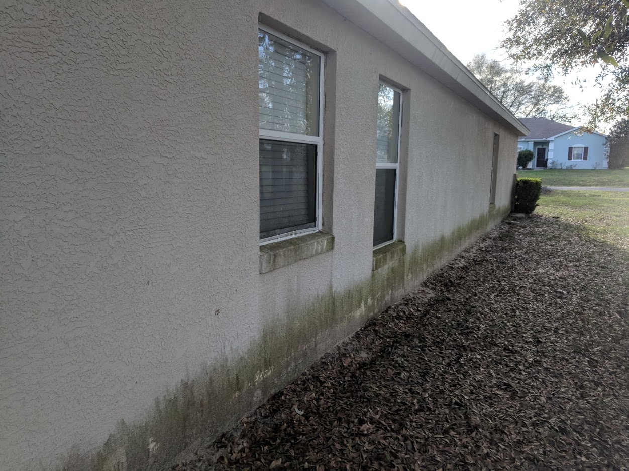 House exterior being soft washed by License to Wash